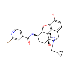 O=C(N[C@@H]1CC[C@@]2(O)[C@H]3Cc4ccc(O)c5c4[C@@]2(CCN3CC2CC2)[C@H]1O5)c1ccnc(Br)c1 ZINC000072105065