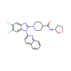 O=C(N[C@@H]1CCOC1)C1CCN(c2nc3cc(Cl)c(Cl)cc3n2-c2ccc3ccccc3n2)CC1 ZINC000201863819