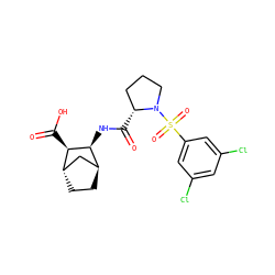 O=C(N[C@H]1[C@H]2CC[C@@H](C2)[C@H]1C(=O)O)[C@@H]1CCCN1S(=O)(=O)c1cc(Cl)cc(Cl)c1 ZINC000169294658