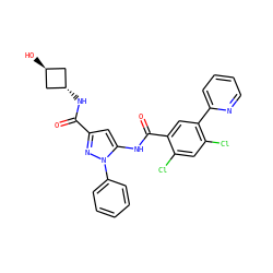 O=C(N[C@H]1C[C@H](O)C1)c1cc(NC(=O)c2cc(-c3ccccn3)c(Cl)cc2Cl)n(-c2ccccc2)n1 ZINC001772611403
