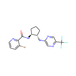 O=C(N[C@H]1CCC[C@@H]1Nc1cnc(C(F)(F)F)cn1)c1ncccc1Br ZINC001772603205