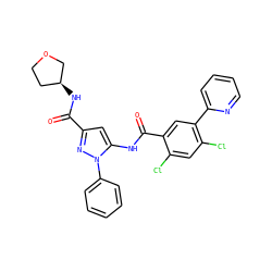 O=C(N[C@H]1CCOC1)c1cc(NC(=O)c2cc(-c3ccccn3)c(Cl)cc2Cl)n(-c2ccccc2)n1 ZINC001772648470