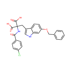 O=C(NC(Cc1c[nH]c2cc(OCc3ccccc3)ccc12)(C(=O)O)C(=O)O)c1ccc(Cl)cc1 ZINC000040752932