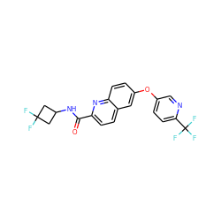 O=C(NC1CC(F)(F)C1)c1ccc2cc(Oc3ccc(C(F)(F)F)nc3)ccc2n1 ZINC001772618098
