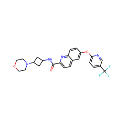 O=C(NC1CC(N2CCOCC2)C1)c1ccc2cc(Oc3ccc(C(F)(F)F)cn3)ccc2n1 ZINC001772578263