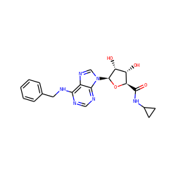 O=C(NC1CC1)[C@H]1O[C@@H](n2cnc3c(NCc4ccccc4)ncnc32)[C@H](O)[C@@H]1O ZINC000012405584