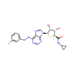 O=C(NC1CC1)[C@H]1S[C@@H](n2cnc3c(NCc4cccc(I)c4)ncnc32)[C@H](O)[C@@H]1O ZINC000049762142