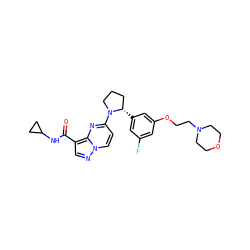 O=C(NC1CC1)c1cnn2ccc(N3CCC[C@@H]3c3cc(F)cc(OCCN4CCOCC4)c3)nc12 ZINC000169704183