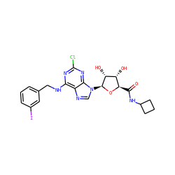 O=C(NC1CCC1)[C@H]1O[C@@H](n2cnc3c(NCc4cccc(I)c4)nc(Cl)nc32)[C@H](O)[C@@H]1O ZINC000096900445