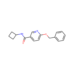 O=C(NC1CCC1)c1ccc(OCc2ccccc2)nc1 ZINC000095579944
