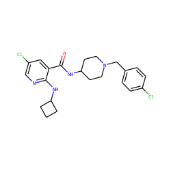 O=C(NC1CCN(Cc2ccc(Cl)cc2)CC1)c1cc(Cl)cnc1NC1CCC1 ZINC000028526191