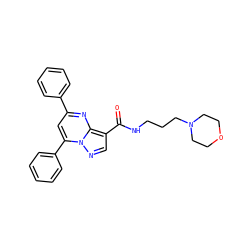 O=C(NCCCN1CCOCC1)c1cnn2c(-c3ccccc3)cc(-c3ccccc3)nc12 ZINC000019774244