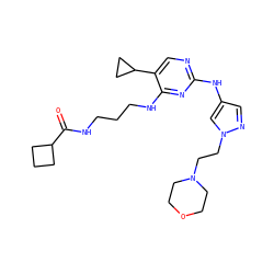 O=C(NCCCNc1nc(Nc2cnn(CCN3CCOCC3)c2)ncc1C1CC1)C1CCC1 ZINC000095560936