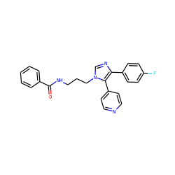 O=C(NCCCn1cnc(-c2ccc(F)cc2)c1-c1ccncc1)c1ccccc1 ZINC000028528239