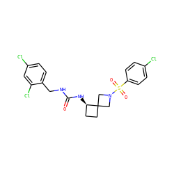 O=C(NCc1ccc(Cl)cc1Cl)N[C@@H]1CCC12CN(S(=O)(=O)c1ccc(Cl)cc1)C2 ZINC000205434889