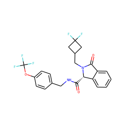 O=C(NCc1ccc(OC(F)(F)F)cc1)[C@H]1c2ccccc2C(=O)N1CC1CC(F)(F)C1 ZINC000095553655