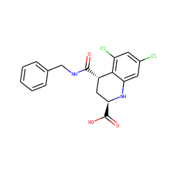 O=C(NCc1ccccc1)[C@H]1C[C@H](C(=O)O)Nc2cc(Cl)cc(Cl)c21 ZINC000013455343