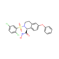O=C(NO)[C@@H]1c2ccc(Oc3ccccc3)cc2CCN1S(=O)(=O)c1cc(Cl)ccc1Cl ZINC000095587132