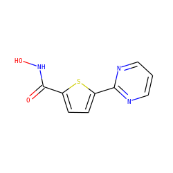 O=C(NO)c1ccc(-c2ncccn2)s1 ZINC000034146267
