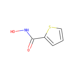 O=C(NO)c1cccs1 ZINC000012504622