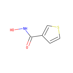 O=C(NO)c1ccsc1 ZINC000019511897