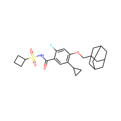 O=C(NS(=O)(=O)C1CCC1)c1cc(C2CC2)c(OCC23CC4CC(CC(C4)C2)C3)cc1F ZINC000216241438