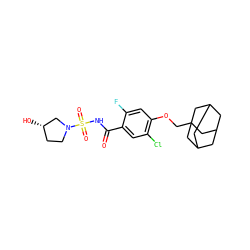O=C(NS(=O)(=O)N1CC[C@H](O)C1)c1cc(Cl)c(OCC23CC4CC(CC(C4)C2)C3)cc1F ZINC000216203371