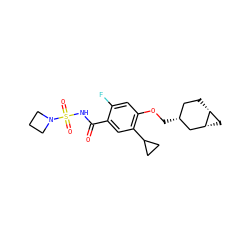 O=C(NS(=O)(=O)N1CCC1)c1cc(C2CC2)c(OC[C@@H]2CC[C@@H]3C[C@@H]3C2)cc1F ZINC000216260407