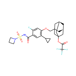 O=C(NS(=O)(=O)N1CCC1)c1cc(C2CC2)c(OCC23C[C@@H]4C[C@H](C2)CC(OC(=O)C(F)(F)F)(C4)C3)cc1F ZINC000216245996