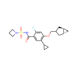O=C(NS(=O)(=O)N1CCC1)c1cc(C2CC2)c(OCC2C[C@H]3C[C@@H]3C2)cc1F ZINC000216261258