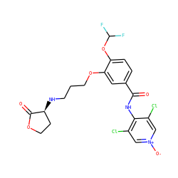 O=C(Nc1c(Cl)c[n+]([O-])cc1Cl)c1ccc(OC(F)F)c(OCCCN[C@H]2CCOC2=O)c1 ZINC000299834172