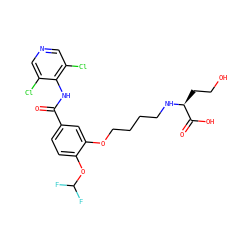 O=C(Nc1c(Cl)cncc1Cl)c1ccc(OC(F)F)c(OCCCCN[C@@H](CCO)C(=O)O)c1 ZINC000205513706