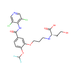O=C(Nc1c(Cl)cncc1Cl)c1ccc(OC(F)F)c(OCCCN[C@@H](CCO)C(=O)O)c1 ZINC000205513737