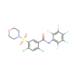 O=C(Nc1c(F)c(F)c(F)c(F)c1F)c1cc(S(=O)(=O)N2CCOCC2)c(Cl)cc1Cl ZINC001772584694