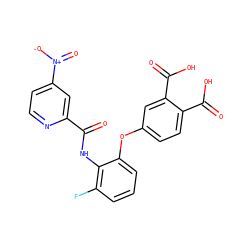 O=C(Nc1c(F)cccc1Oc1ccc(C(=O)O)c(C(=O)O)c1)c1cc([N+](=O)[O-])ccn1 ZINC000013587609