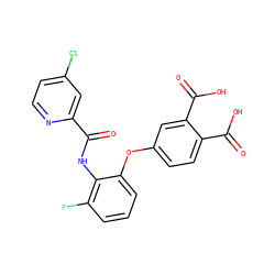 O=C(Nc1c(F)cccc1Oc1ccc(C(=O)O)c(C(=O)O)c1)c1cc(Cl)ccn1 ZINC000013587610