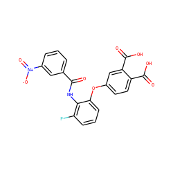 O=C(Nc1c(F)cccc1Oc1ccc(C(=O)O)c(C(=O)O)c1)c1cccc([N+](=O)[O-])c1 ZINC000013587608