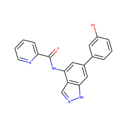O=C(Nc1cc(-c2cccc(O)c2)cc2[nH]ncc12)c1ccccn1 ZINC000113874564