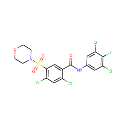 O=C(Nc1cc(Cl)c(F)c(Cl)c1)c1cc(S(=O)(=O)N2CCOCC2)c(Cl)cc1Cl ZINC001772640515