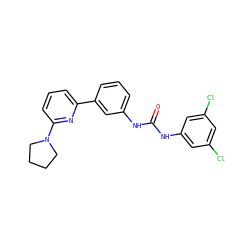 O=C(Nc1cc(Cl)cc(Cl)c1)Nc1cccc(-c2cccc(N3CCCC3)n2)c1 ZINC000299832845