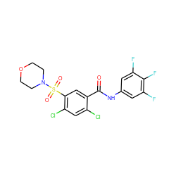 O=C(Nc1cc(F)c(F)c(F)c1)c1cc(S(=O)(=O)N2CCOCC2)c(Cl)cc1Cl ZINC001772618472