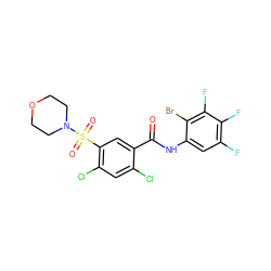 O=C(Nc1cc(F)c(F)c(F)c1Br)c1cc(S(=O)(=O)N2CCOCC2)c(Cl)cc1Cl ZINC001772594241