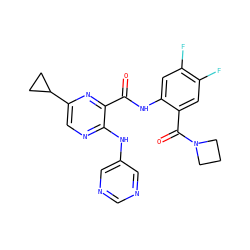 O=C(Nc1cc(F)c(F)cc1C(=O)N1CCC1)c1nc(C2CC2)cnc1Nc1cncnc1 ZINC000169701901