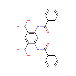 O=C(Nc1cc(NC(=O)c2ccccc2)c(C(=O)O)cc1C(=O)O)c1ccccc1 ZINC000000754759