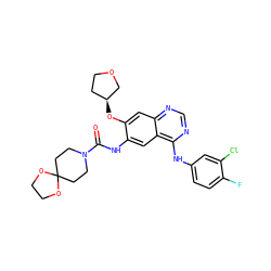 O=C(Nc1cc2c(Nc3ccc(F)c(Cl)c3)ncnc2cc1O[C@H]1CCOC1)N1CCC2(CC1)OCCO2 ZINC000103253582
