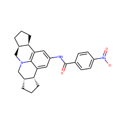 O=C(Nc1cc2c3c(c1)[C@@H]1CCC[C@@H]1CN3C[C@H]1CCC[C@@H]21)c1ccc([N+](=O)[O-])cc1 ZINC000001030927
