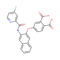 O=C(Nc1cc2ccccc2cc1Oc1ccc(C(=O)O)c(C(=O)O)c1)c1cc(Cl)ccn1 ZINC000013587598