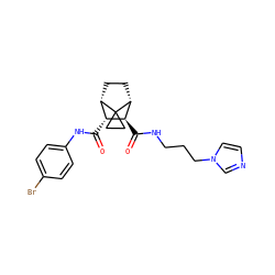 O=C(Nc1ccc(Br)cc1)[C@@H]1[C@@H]2CC[C@H]([C@H]1C(=O)NCCCn1ccnc1)C21CC1 ZINC000168406448
