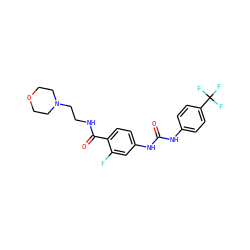 O=C(Nc1ccc(C(F)(F)F)cc1)Nc1ccc(C(=O)NCCN2CCOCC2)c(F)c1 ZINC000049067491