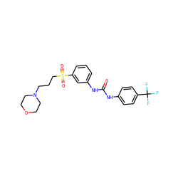 O=C(Nc1ccc(C(F)(F)F)cc1)Nc1cccc(S(=O)(=O)CCCN2CCOCC2)c1 ZINC000049049995